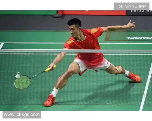 成都与深圳羽毛球队对决赛后分析力量对比与战术探讨